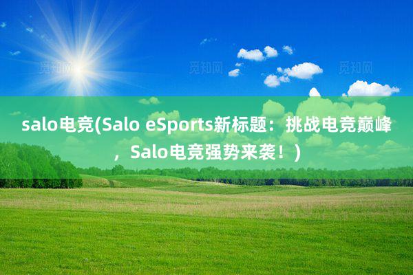 salo电竞(Salo eSports新标题：挑战电竞巅峰，Salo电竞强势来袭！)