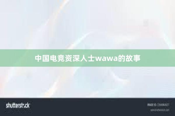 中国电竞资深人士wawa的故事