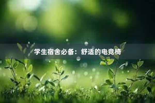 学生宿舍必备：舒适的电竞椅