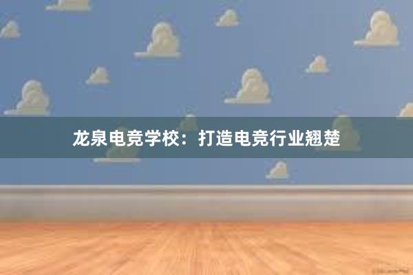 龙泉电竞学校：打造电竞行业翘楚